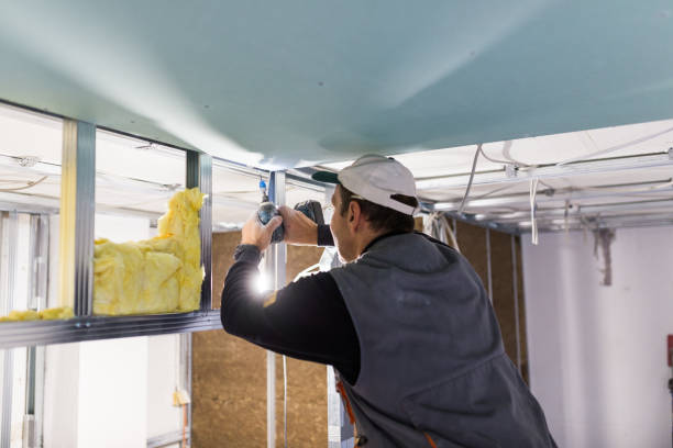 Best Blown-in Insulation in Hamlin, WV