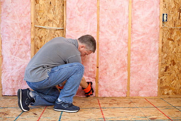 Best Specialized Insulation Services in Hamlin, WV