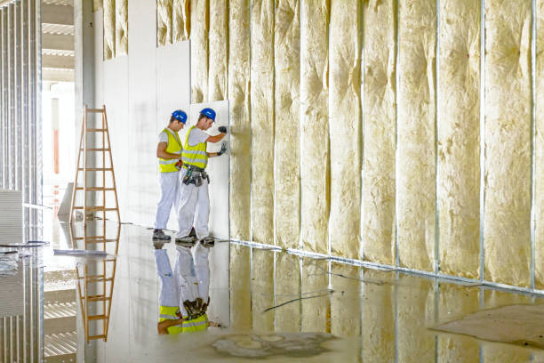 Best Residential Insulation in Hamlin, WV